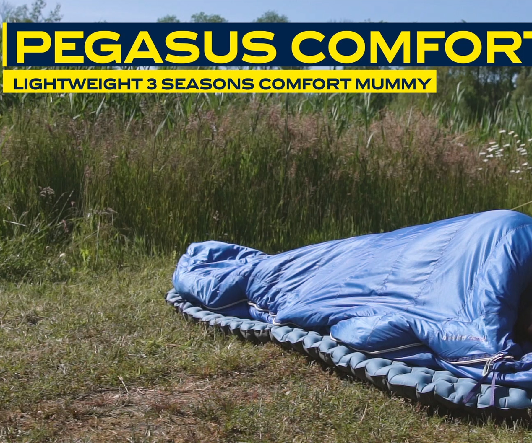 Pegasus Comfort 550